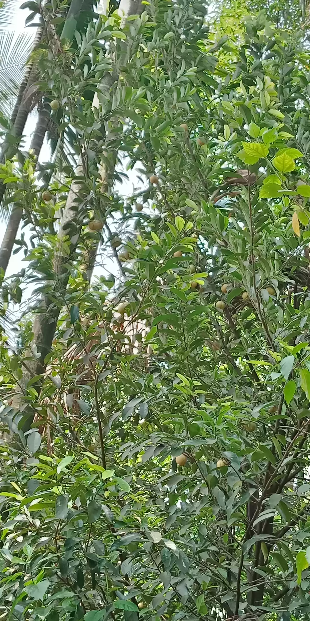 Photo of 5 Best Places to Vis