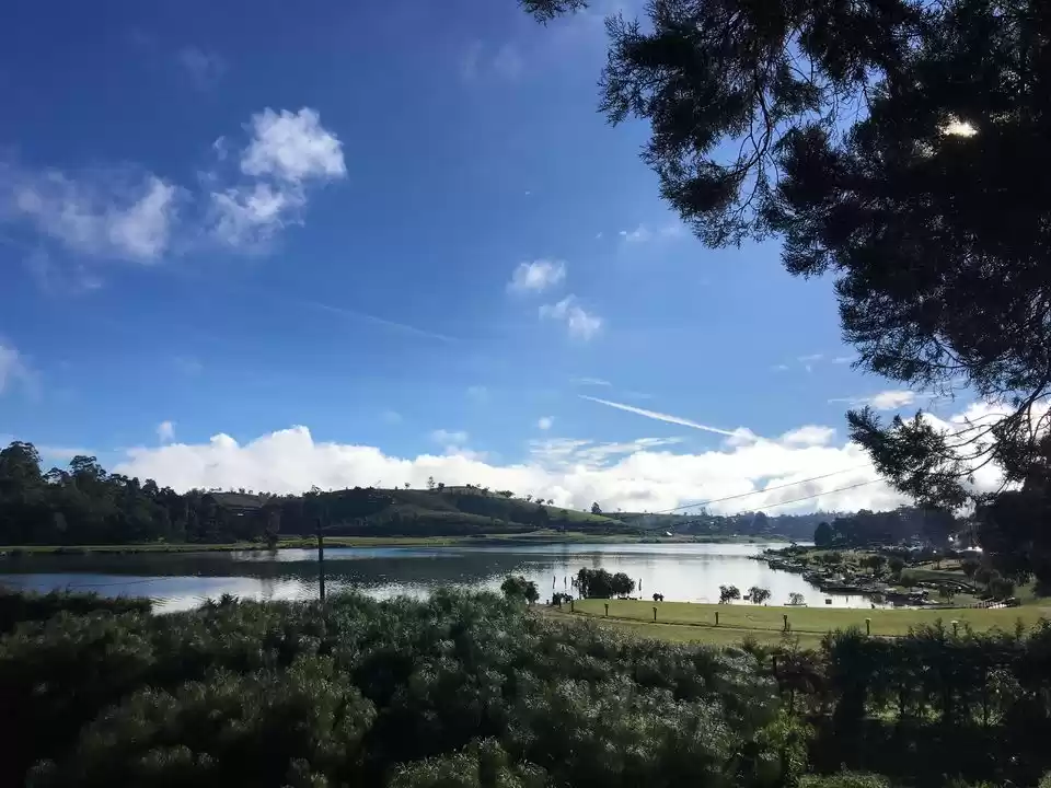 Photo of 7 Reasons Why You Sh