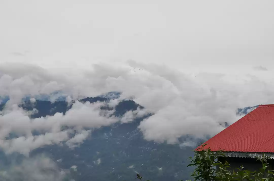 Photo of Kaluk: A Trip To Red