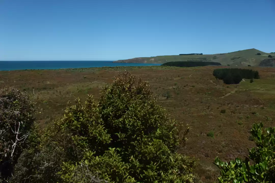 Photo of Pyramids, Penguins &