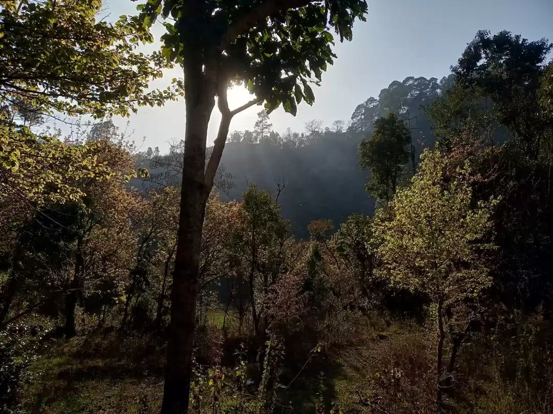 Photo of Hamlet of Kumaon- Je