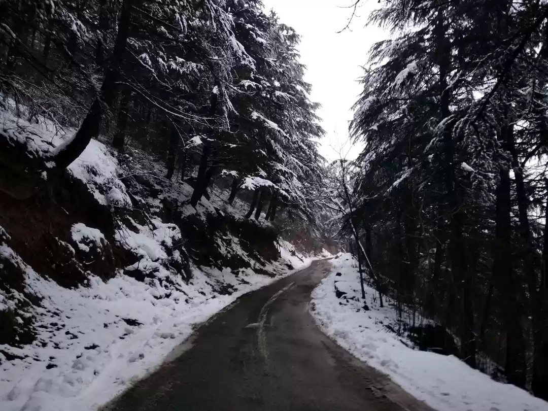 Photo of Mountain biking in s