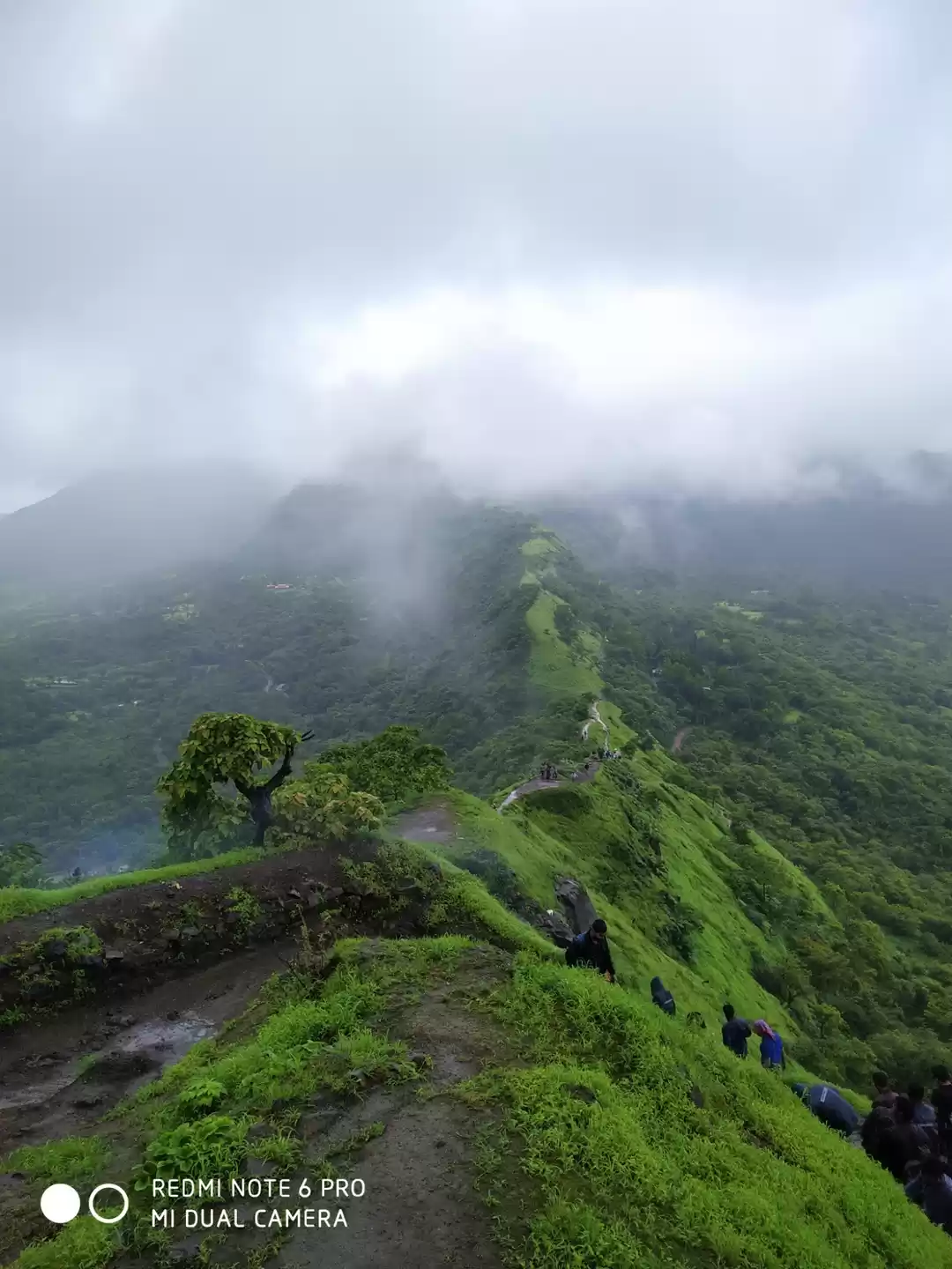 Photo of The Magical Tikona F