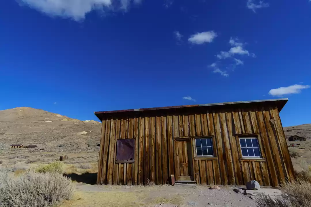 Photo of The day I ended up i