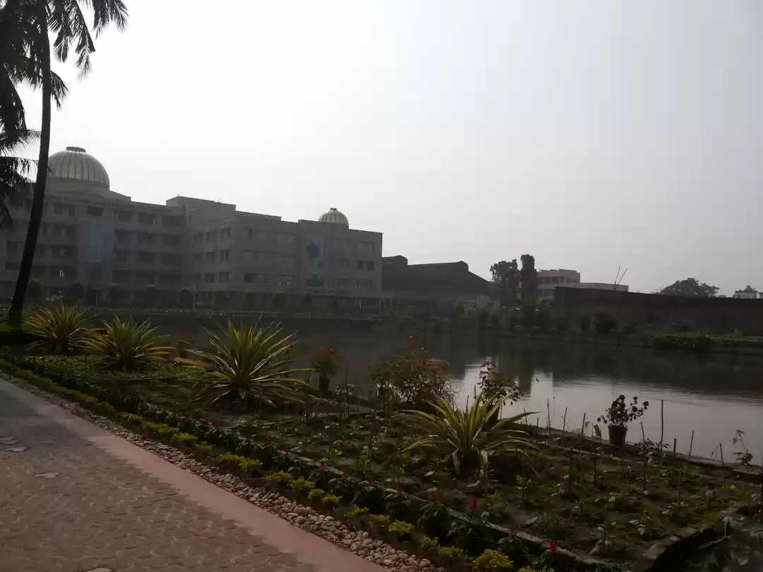 Photo of What You Seek Is Wha