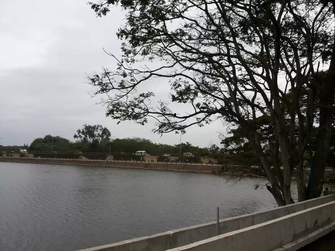 Photo of One Large Tank In Ba