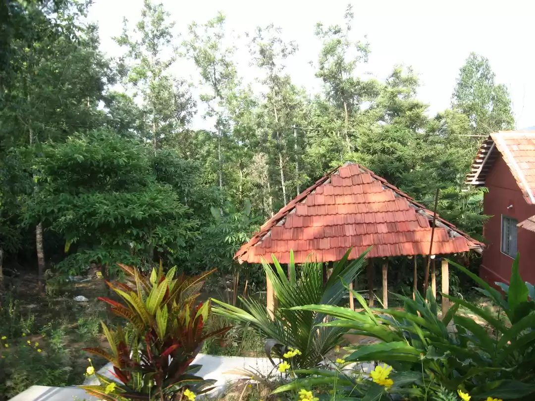 Photo of In Search Of Arabica