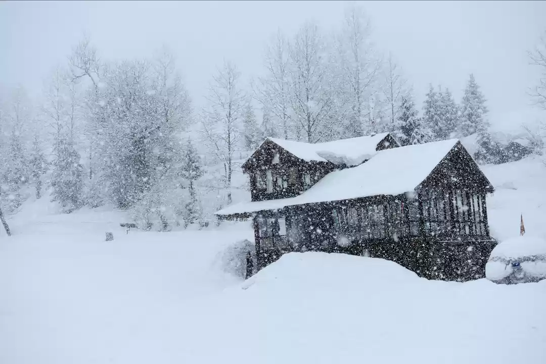 Photo of Solo Trip To Manali