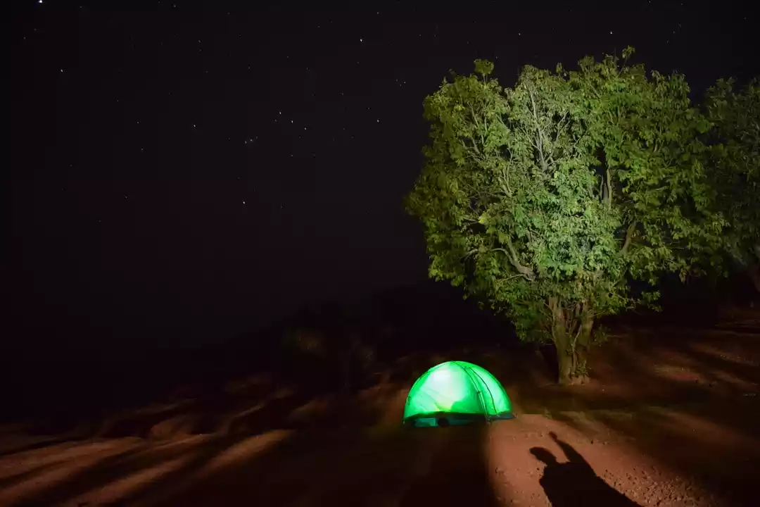 Photo of Camping at Bamnoli a