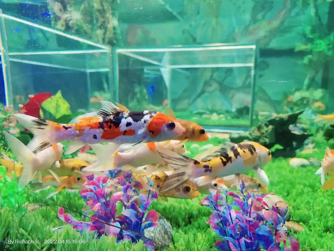 Photo of उदयपुर में परिवार के