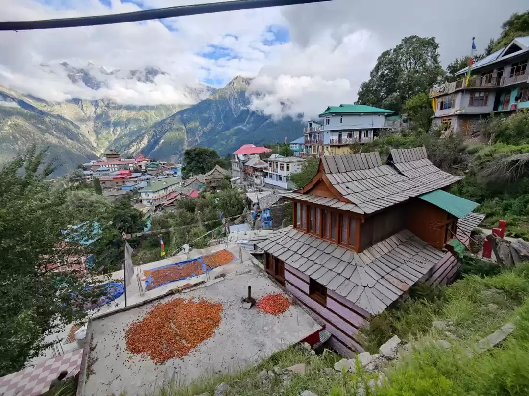 Photo of हिमाचल में परिवार के