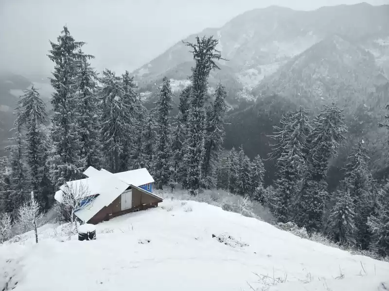 Photo of शोजा : हिमाचल की तीर