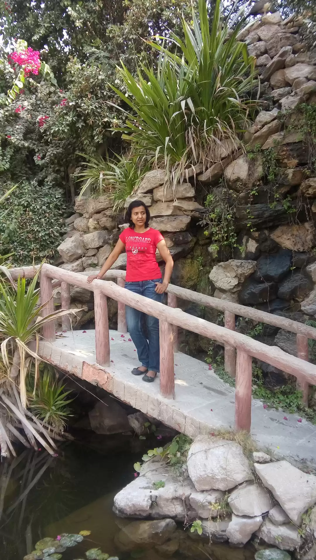 Photo of Wandering beyond Sam