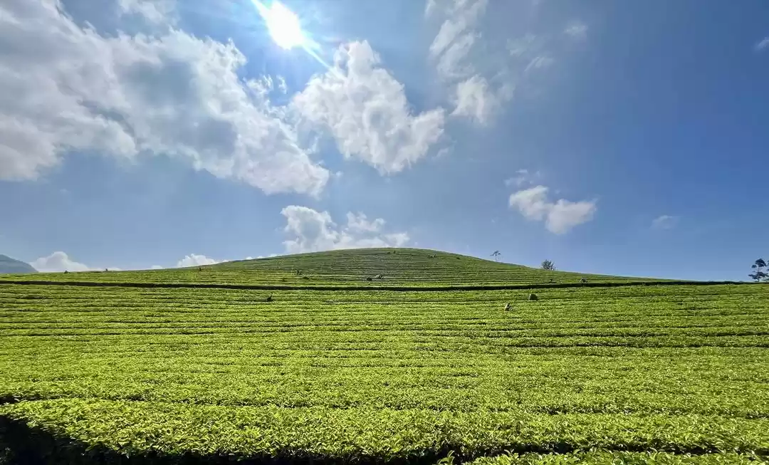 Photo of 5 days in Kerala: Co