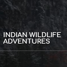 Photo of Indian Wildlife Adventures