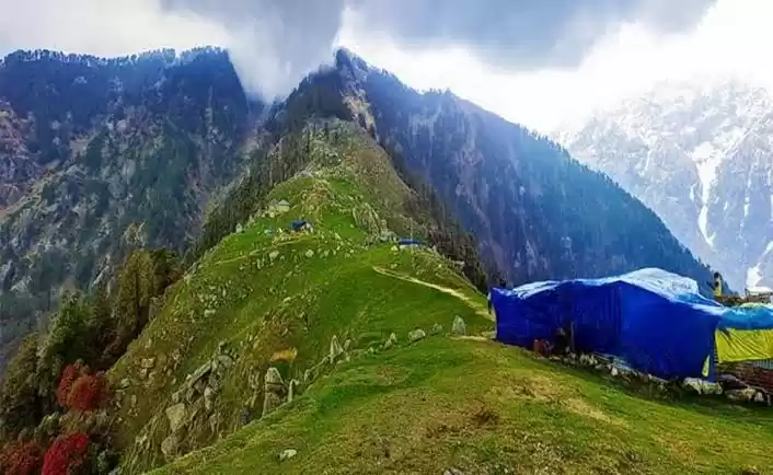 Photo of Nurture D Nature wid