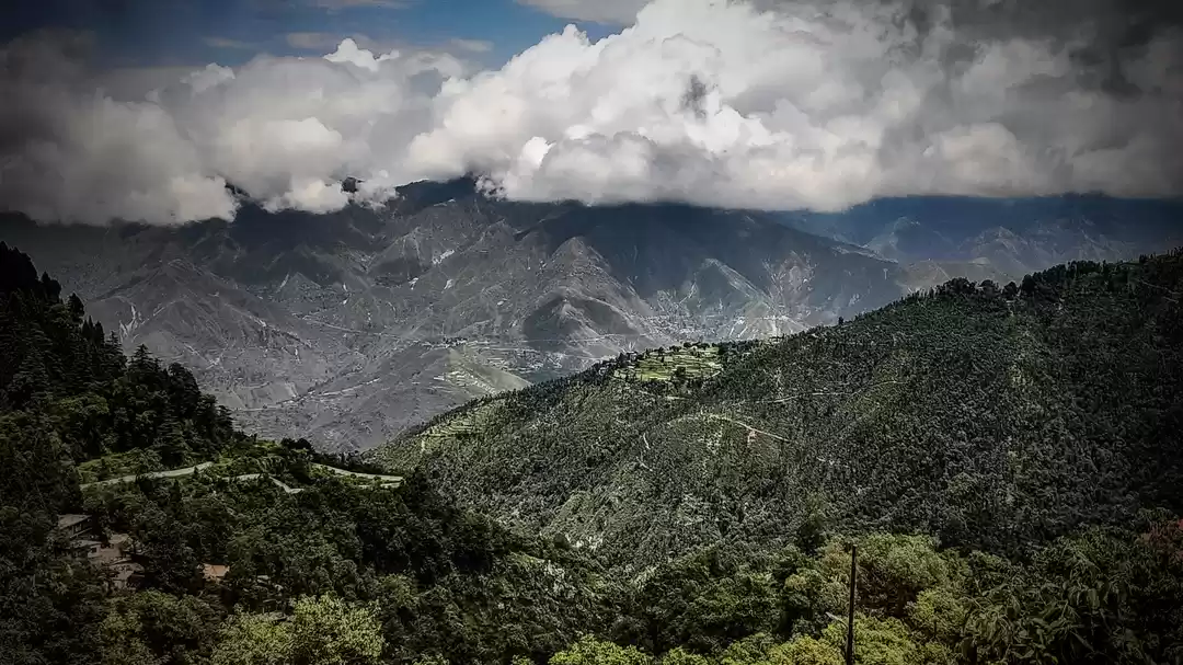 Photo of Mussoorie "The catch