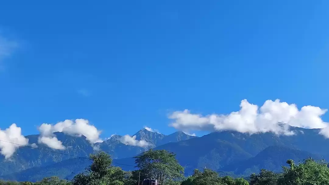 Photo of Palampur: Tea Capit