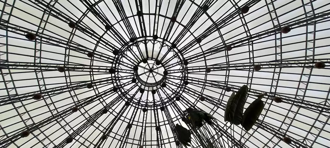 Photo of Bannergatta National