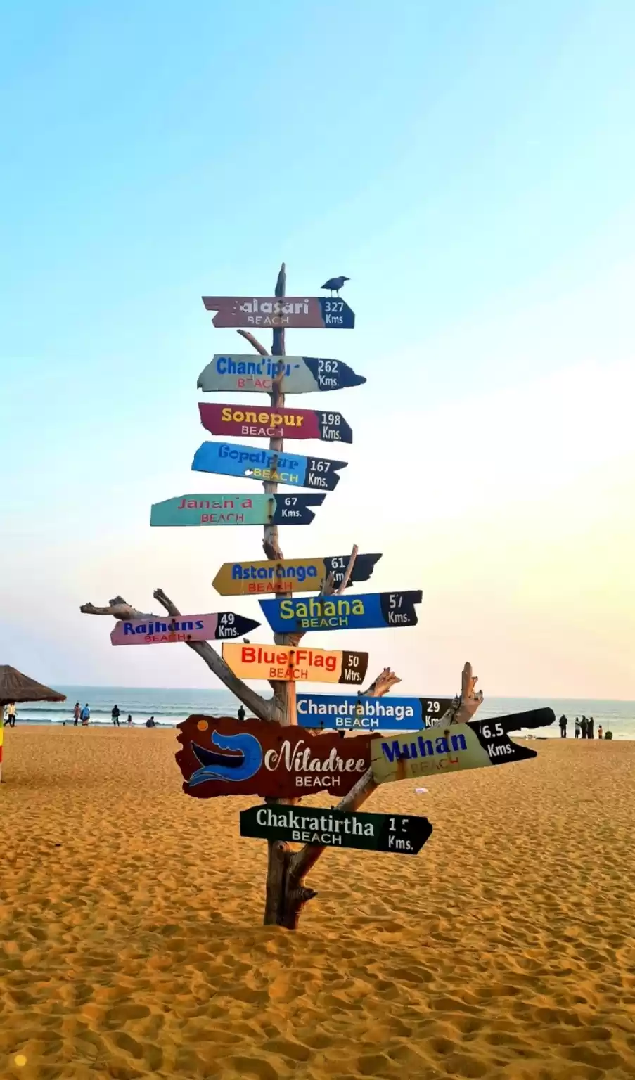 Photo of The beautiful beach 