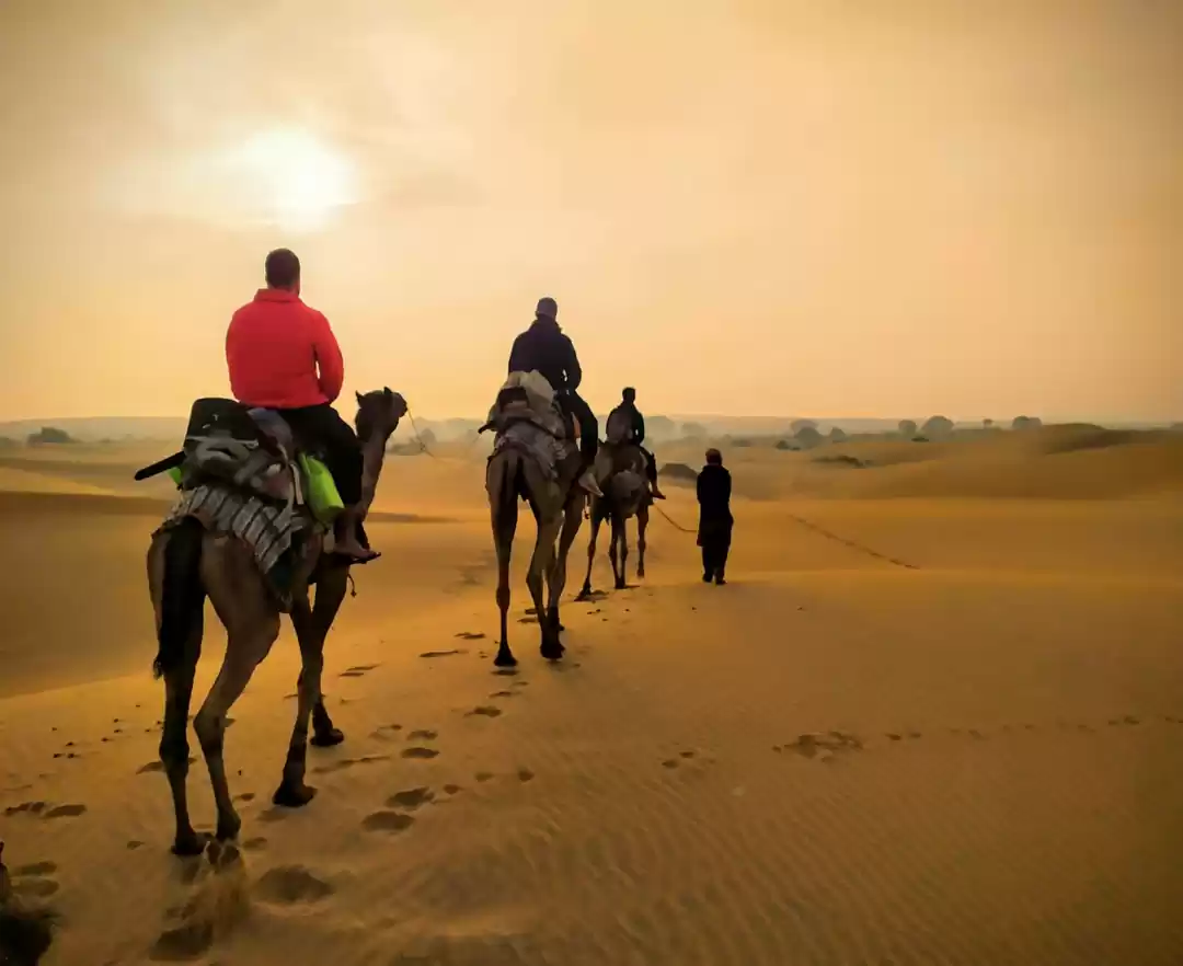 Photo of The best of Rajastha