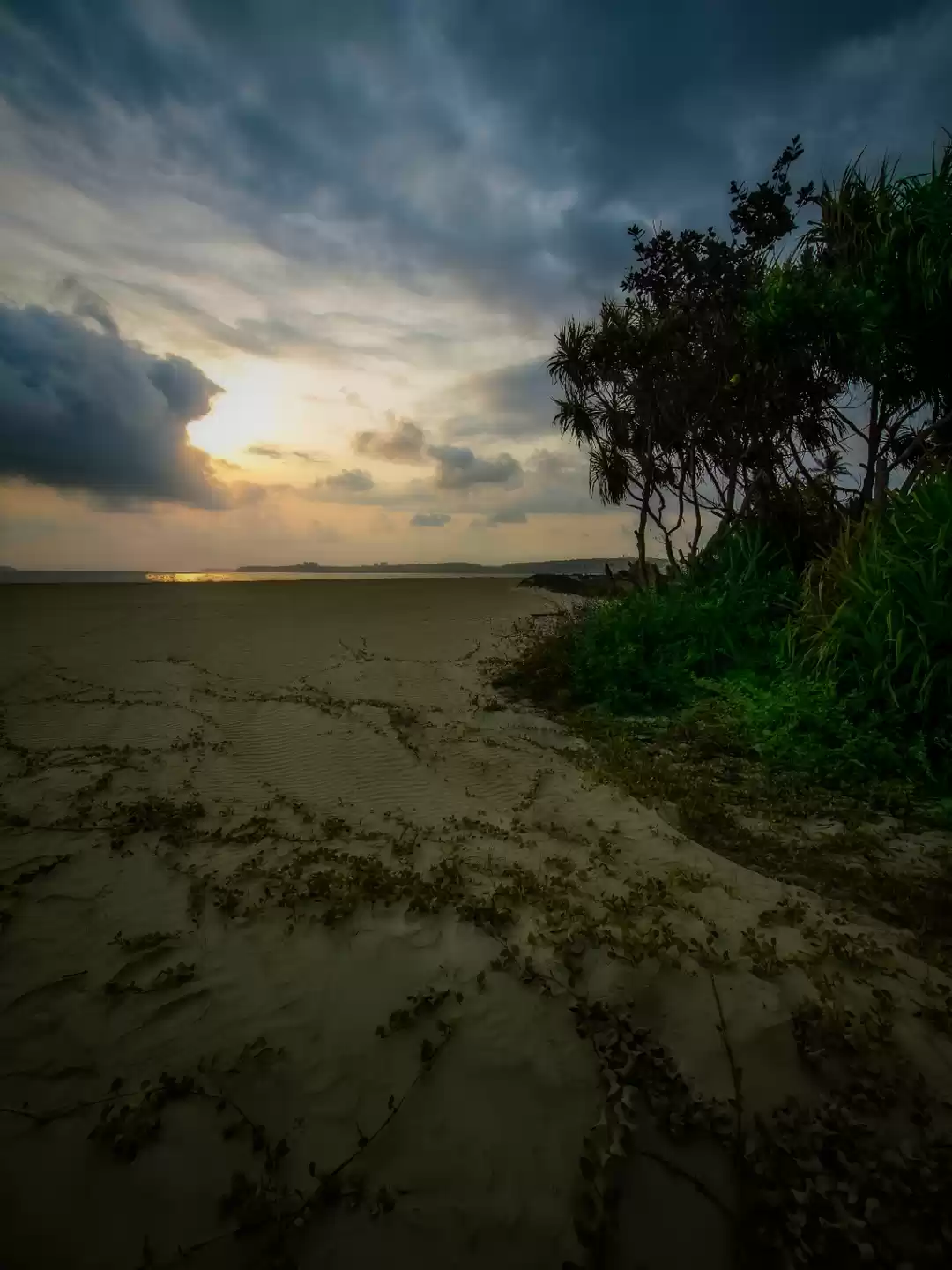 Photo of Warming Sunsets