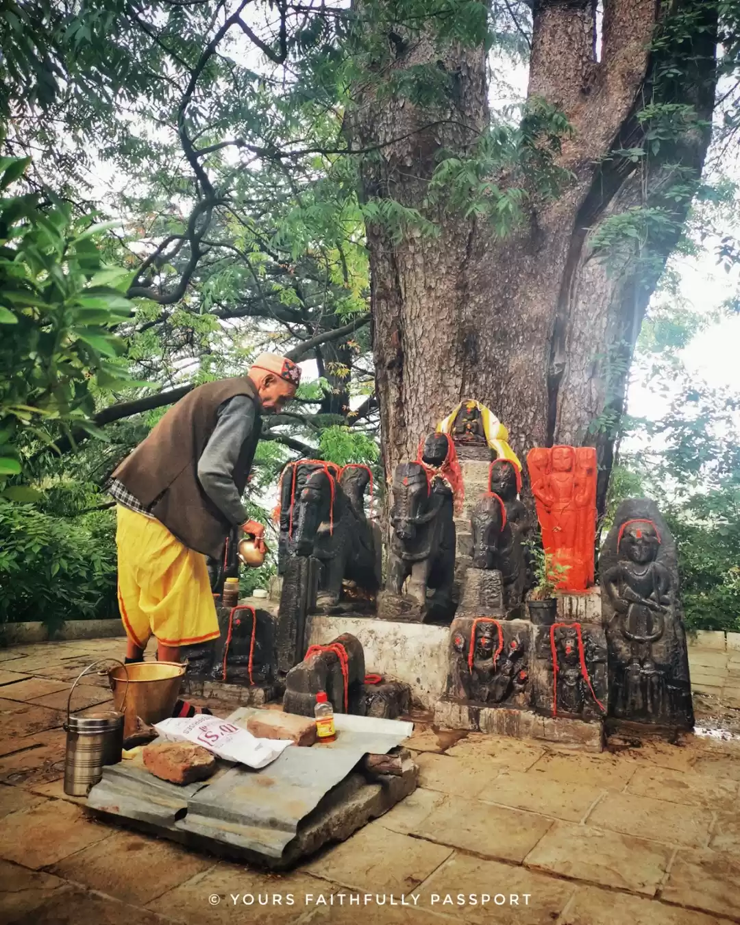 Photo of Amazing Trip