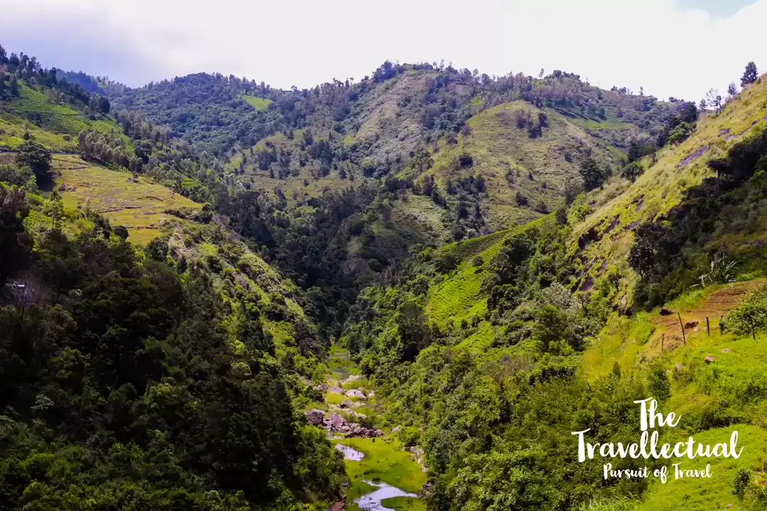 Photo of Serene Ooty