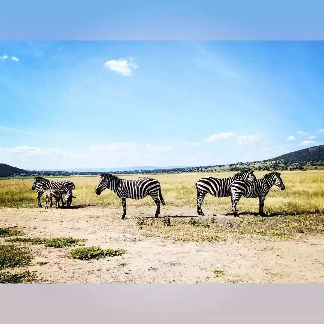 Photo of Adventures of a Solo