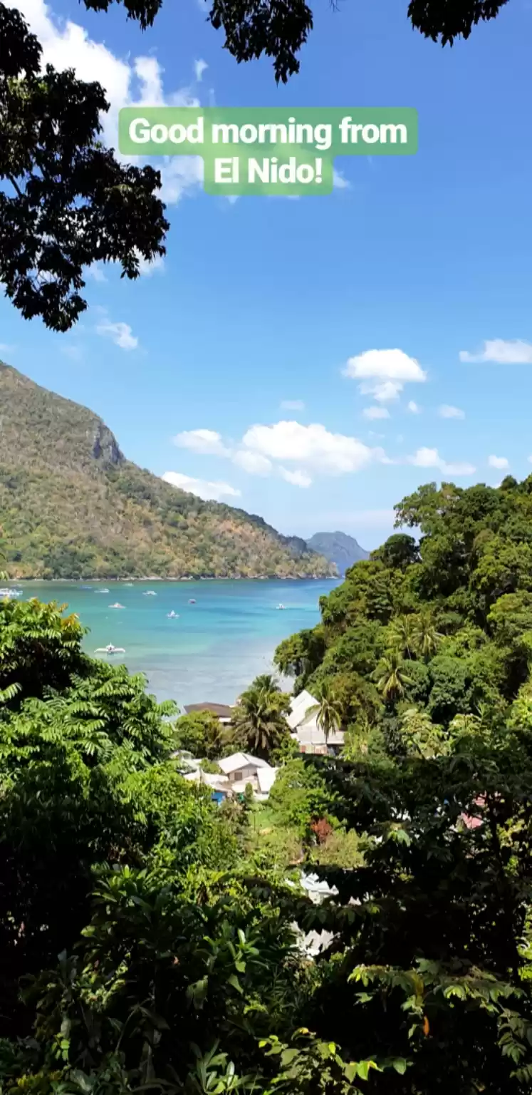 Photo of 5 Reasons Why I Ditc