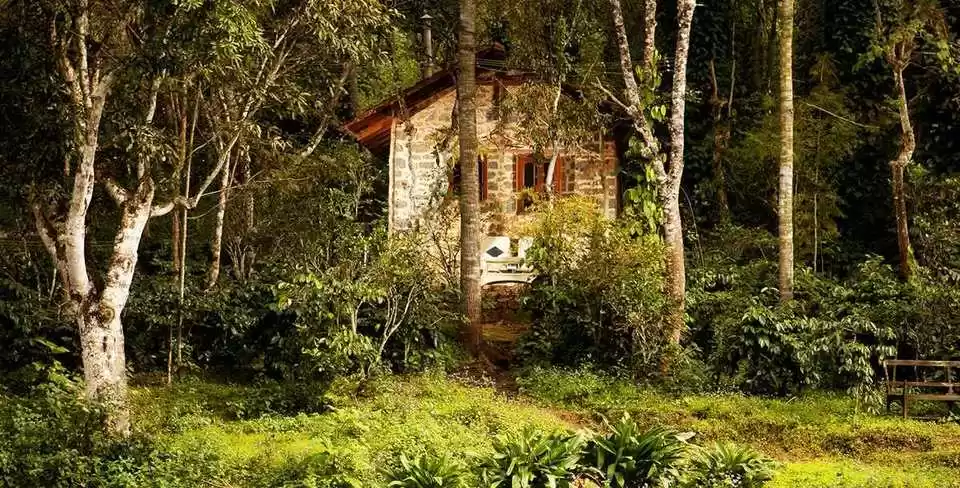 Photo of শহুরে পিছুটান থেকে ম