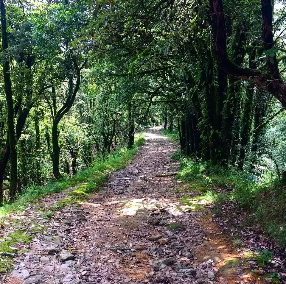 Photo of পাহাড়ে ট্রেক তো অনেক