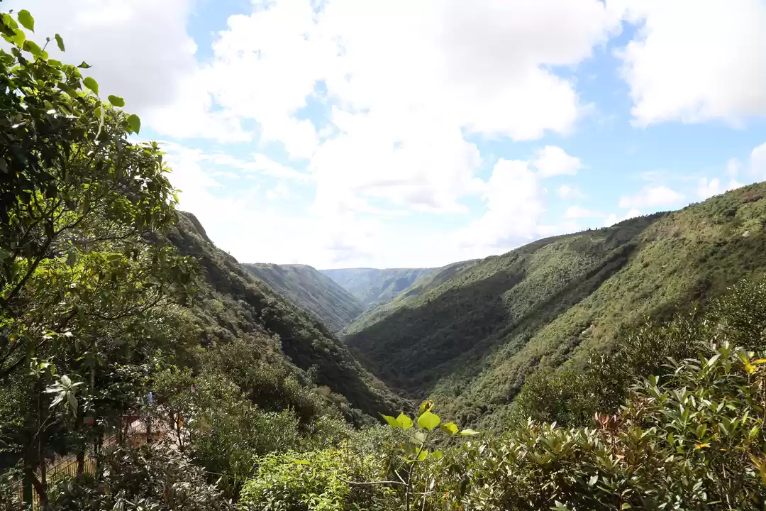 Photo of Meghalaya- The Abode