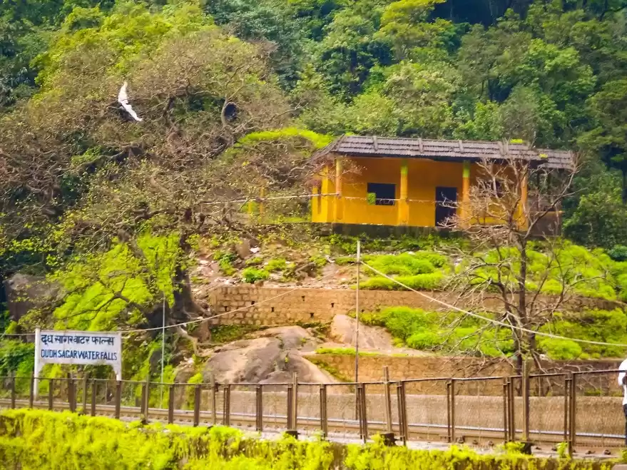 Photo of Dudhsagar hike #offb