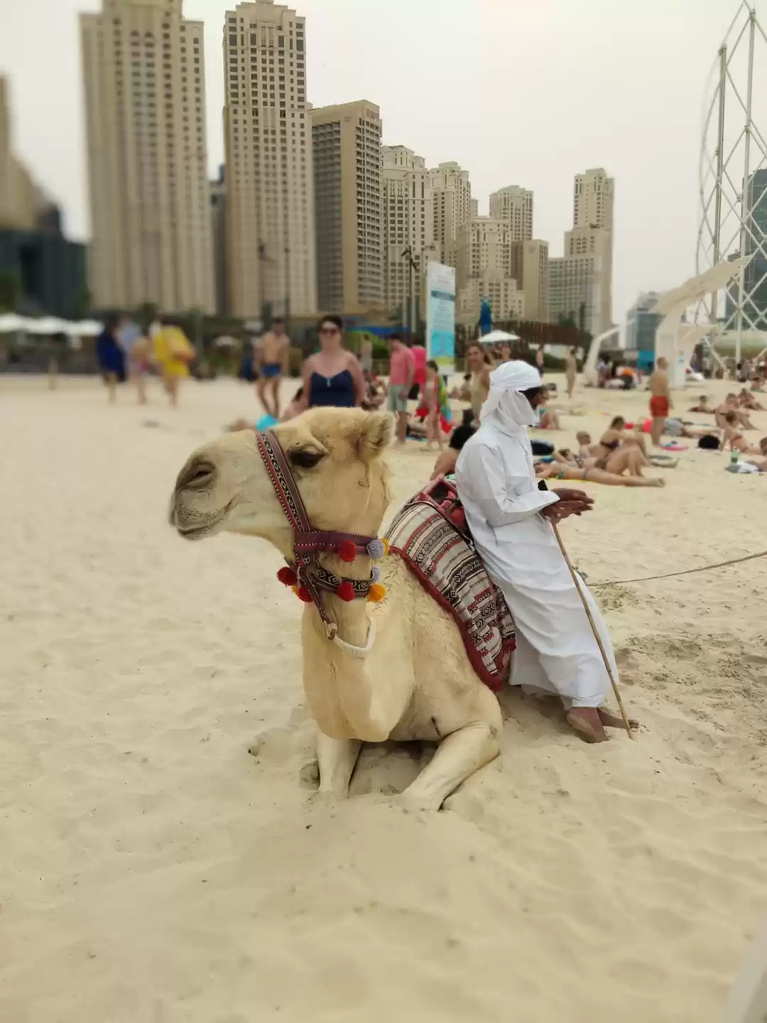 Photo of Dubai - An Arabian D