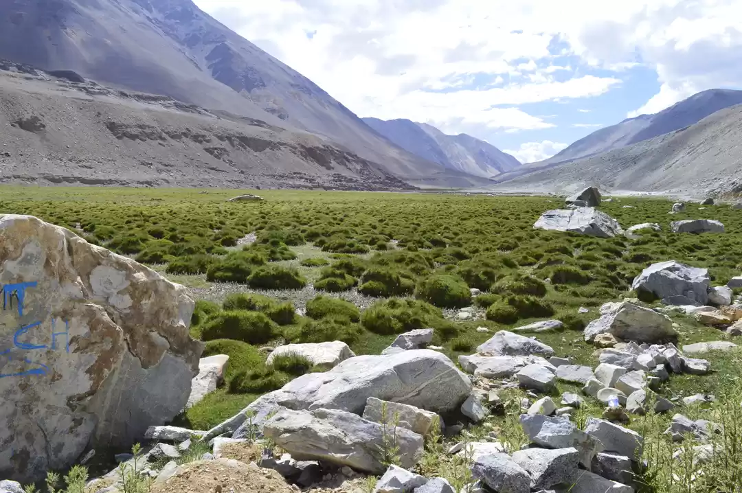Photo of Leh trip 2018 | leh 