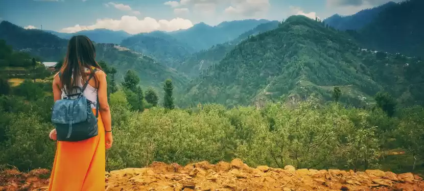 Photo of All you want to know