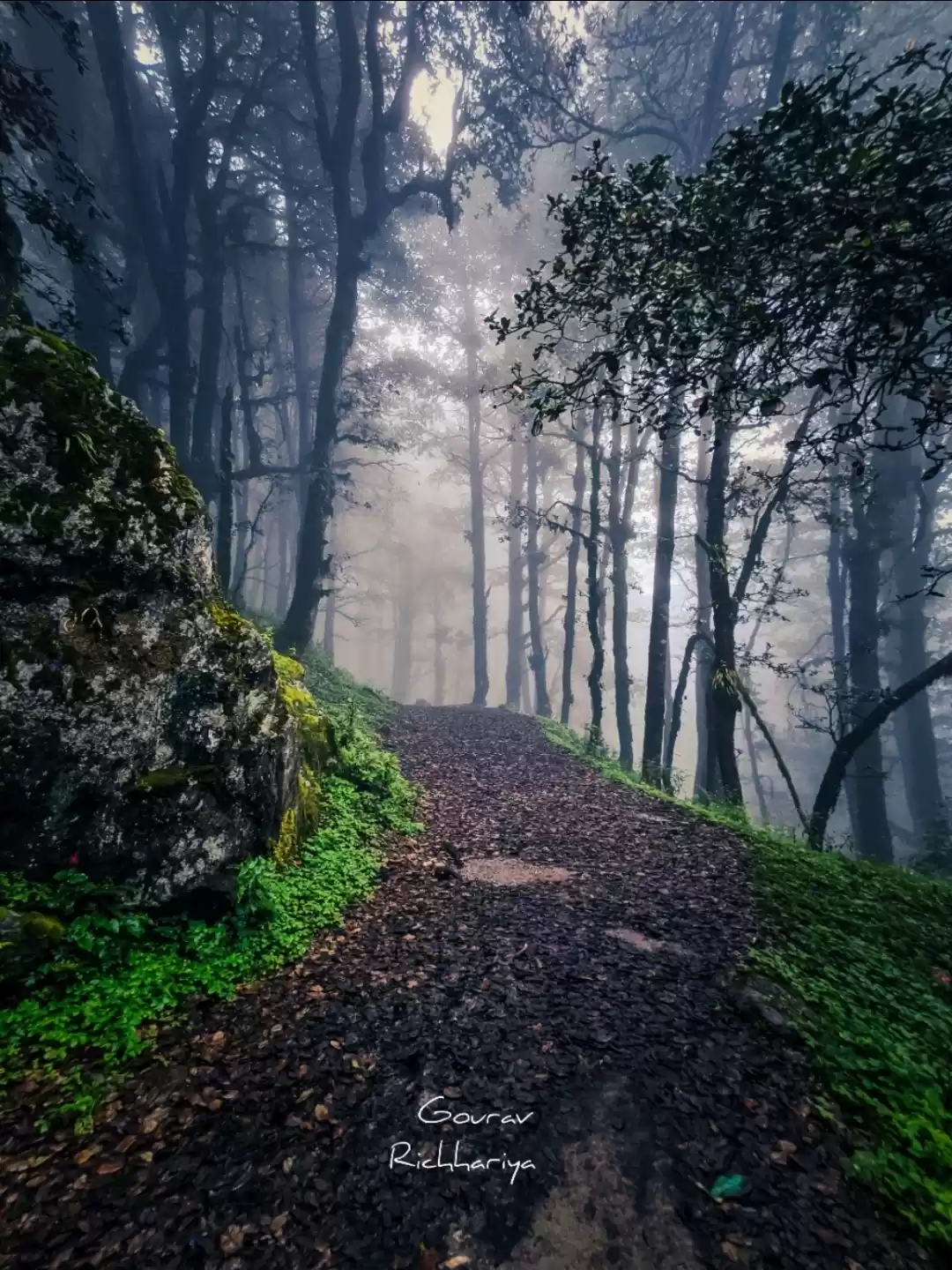 Photo of Jalori pass