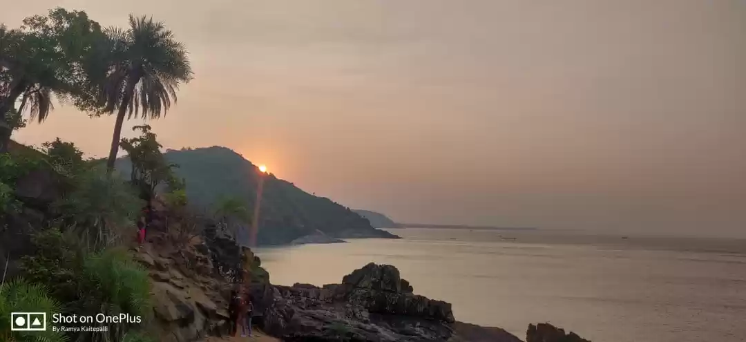 Photo of An escape into natur