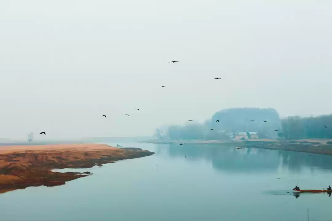 Photo of Trip To Kargil And D