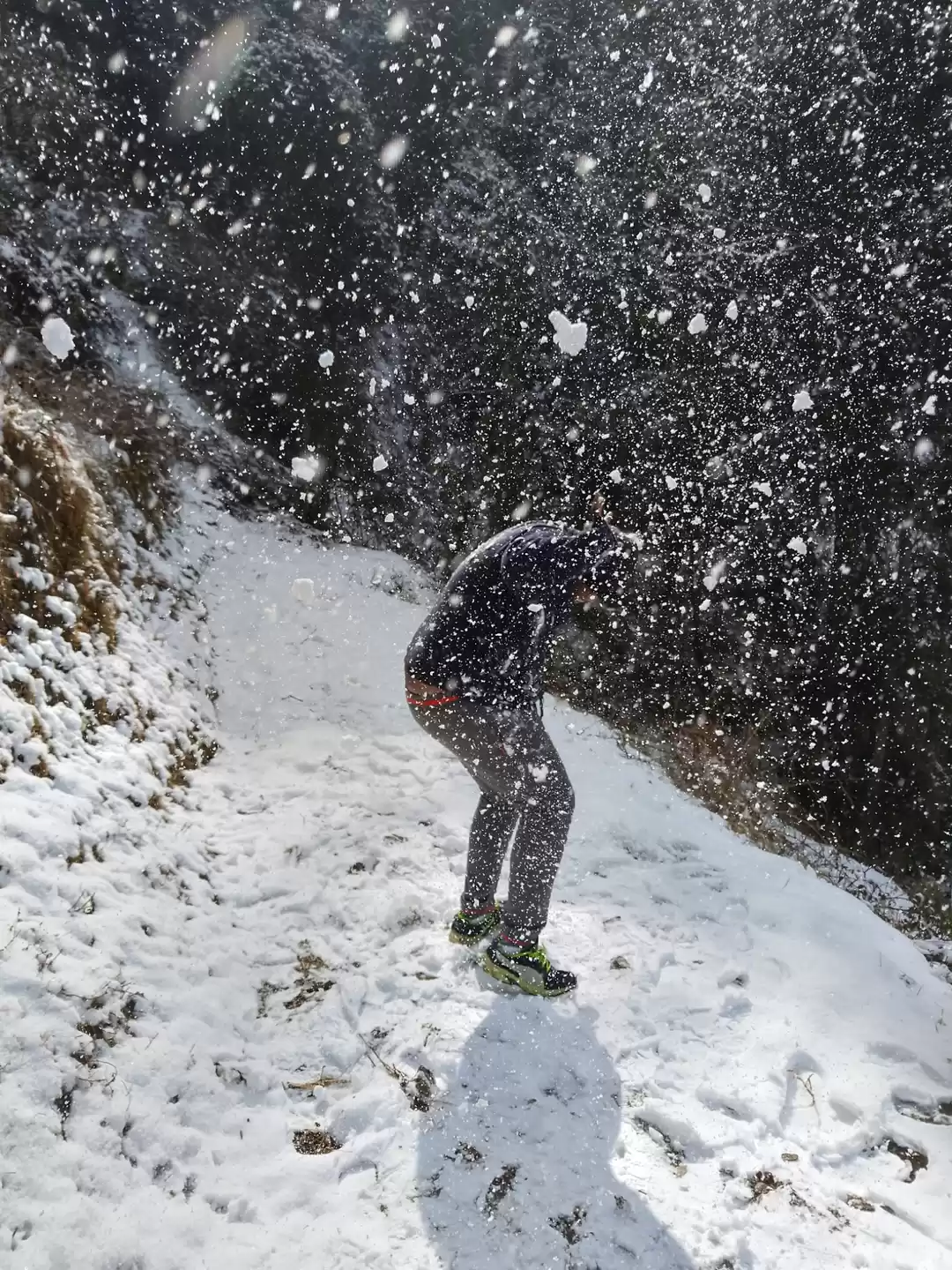 Photo of Fagu - Shimla