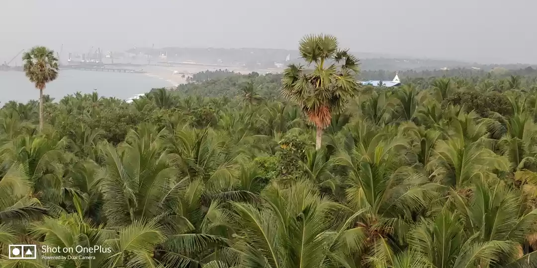 Photo of GOD'S OWN COUNTRY - 