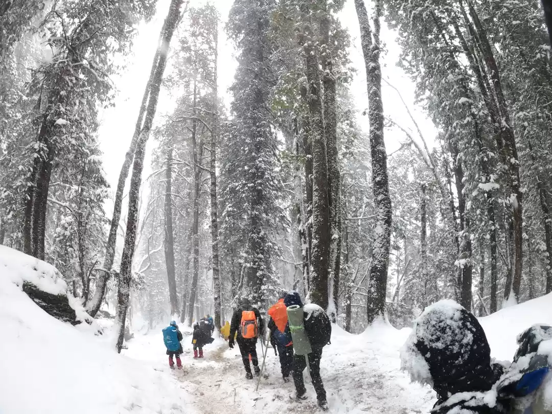 Photo of Snowy trek