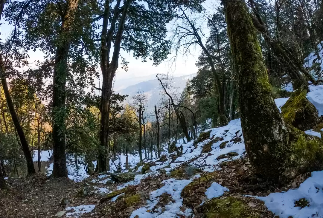 Photo of Trip to Lord Shiva's