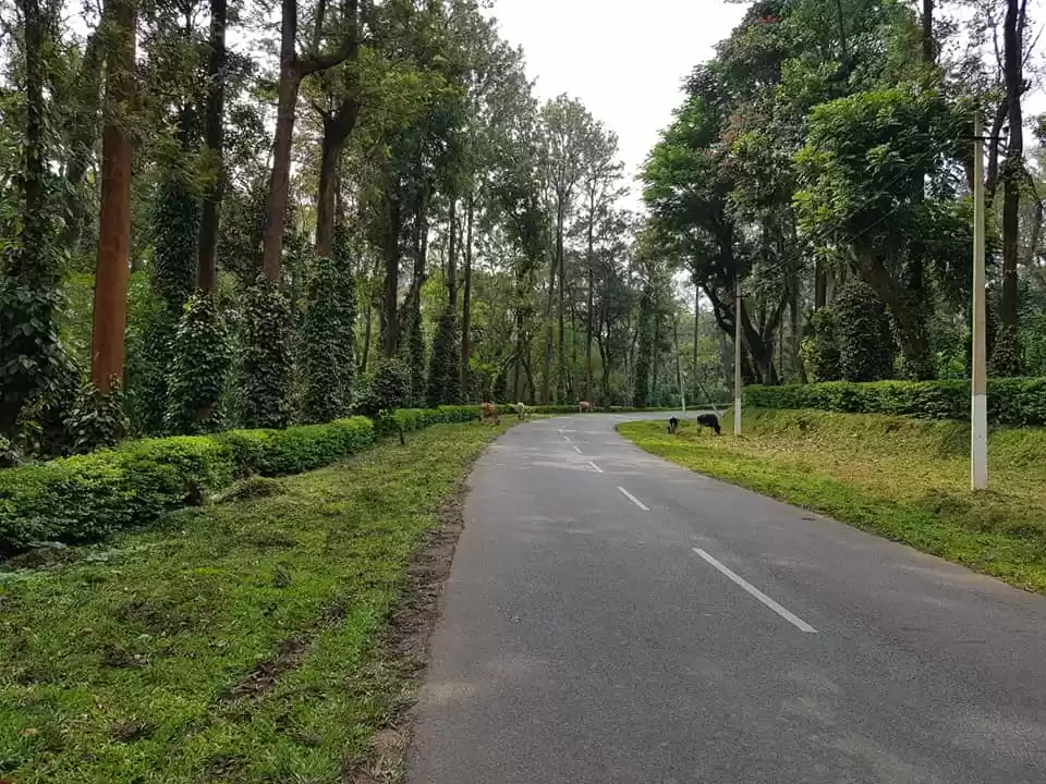 Photo of ये वादियां ये फिज़ाये