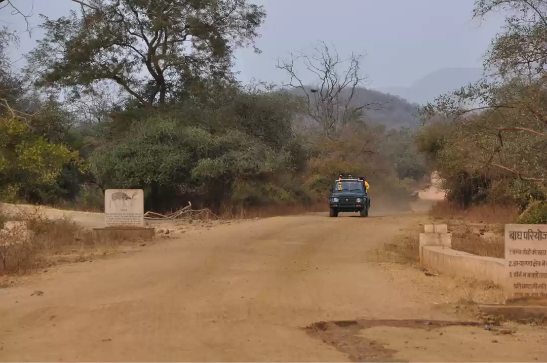 Photo of Sariska Tiger Reserv