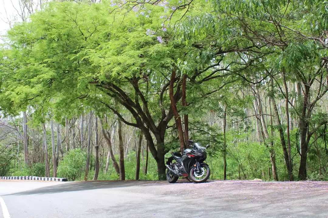 Photo of "Experience Joy with