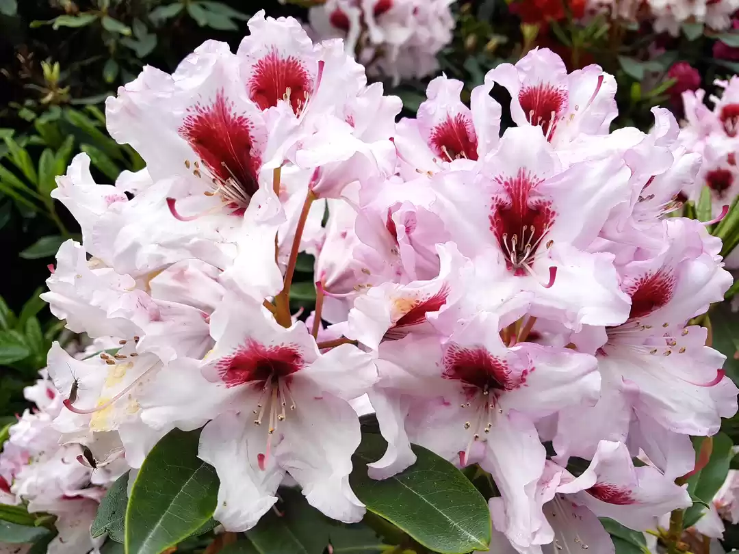 Photo of This summer, visit t