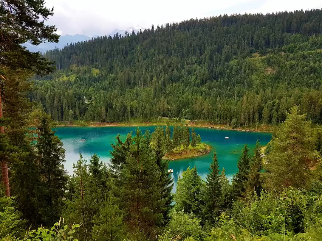 Photo of THE JEWEL OF FLIMS -
