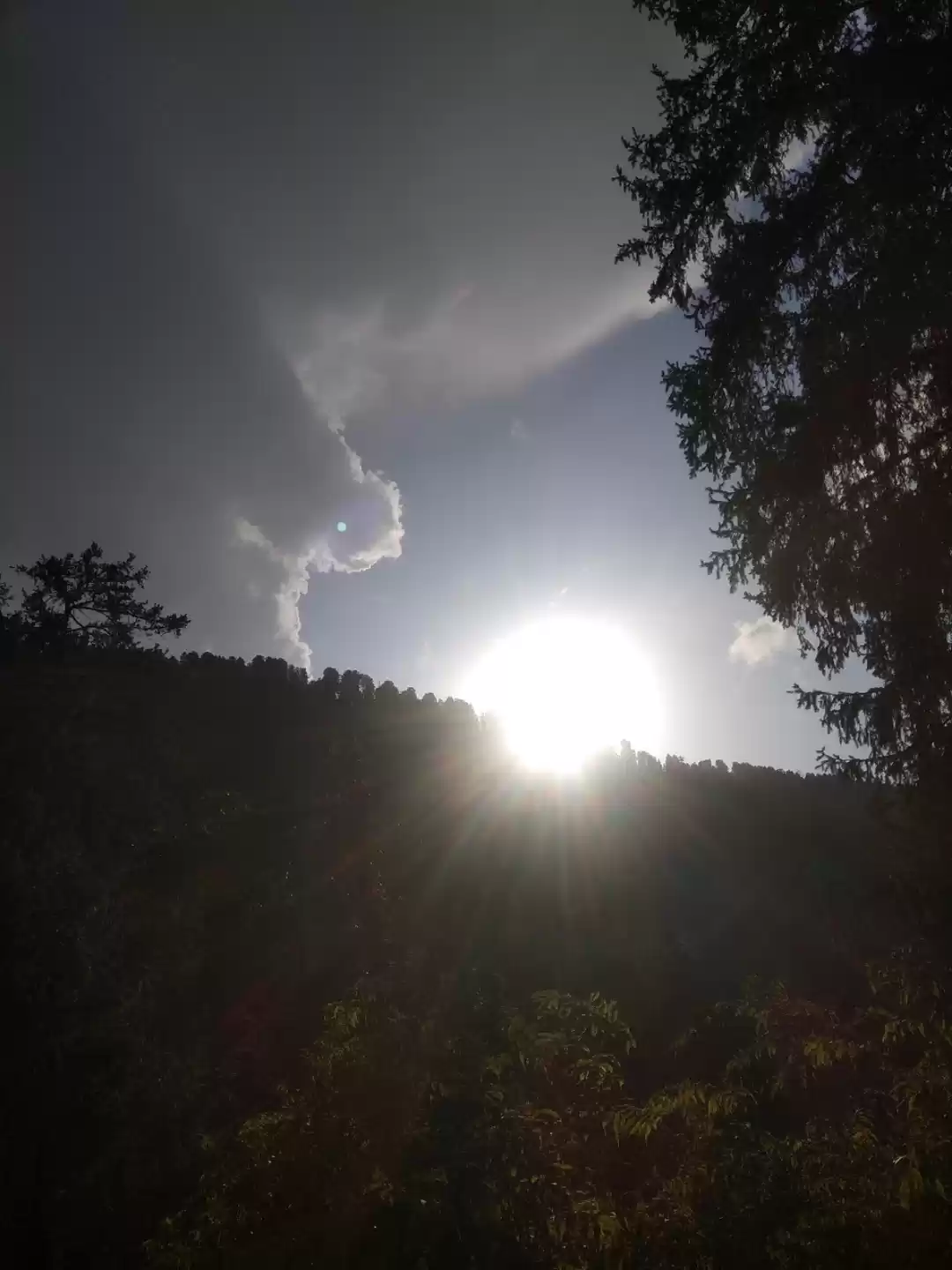 Photo of Beautiful Dalhousie